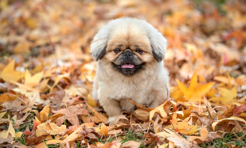 相続した空き家を売却するのに最適な時期は？