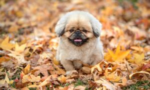 相続した空き家を売却するのに最適な時期は？