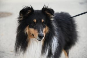 相続した空き家を放置すると受けるペナルティとは？