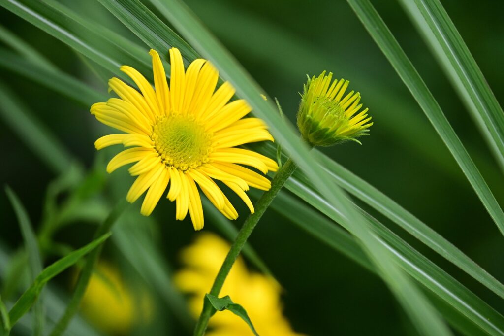 相続した空き家を最短日数で売却する方法は？