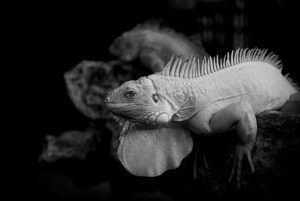 相続の空き家の価格交渉方法はどのように進めるべき？