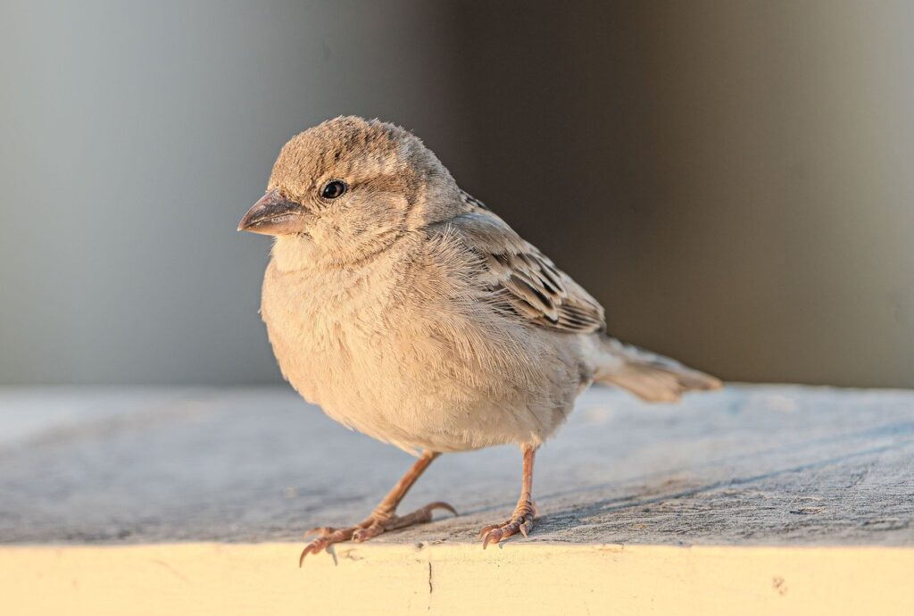 空き家の電気を止めるための手続きや注意点は？