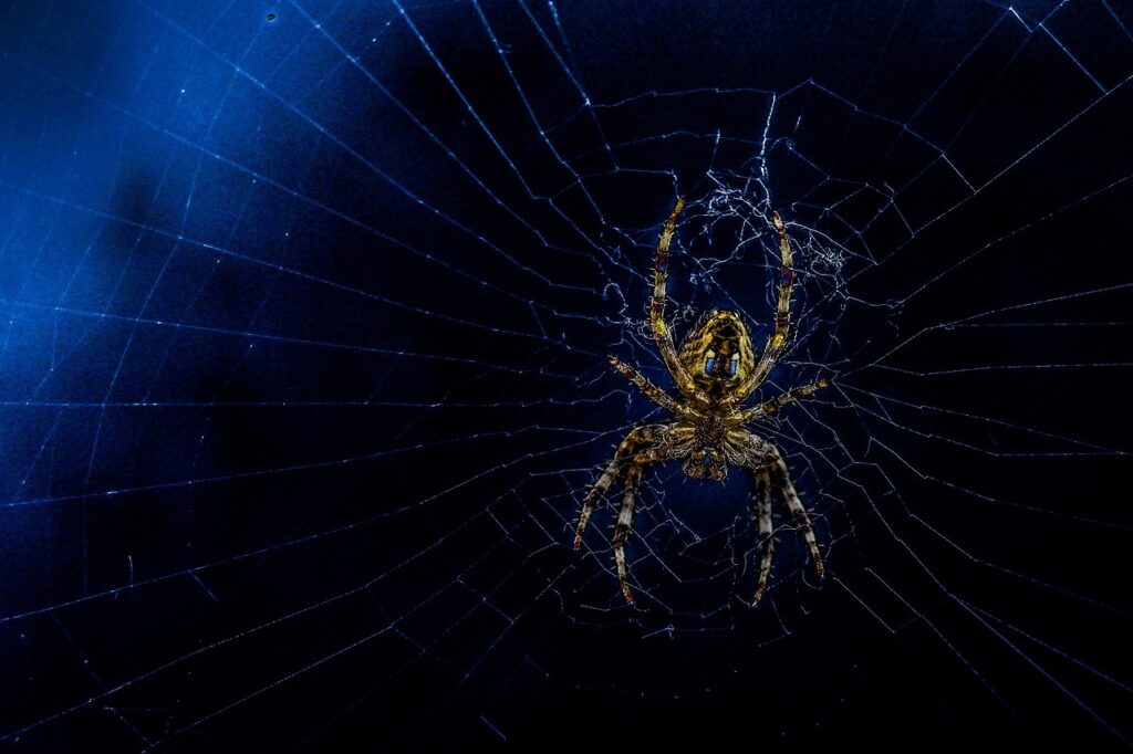 相続した空き家のWEB査定フォームを利用するメリットは？