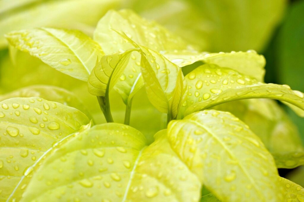 相続した空き家を賃貸として活用する方法は？