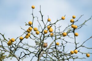 相続の空き家をオンラインで査定する方法は？