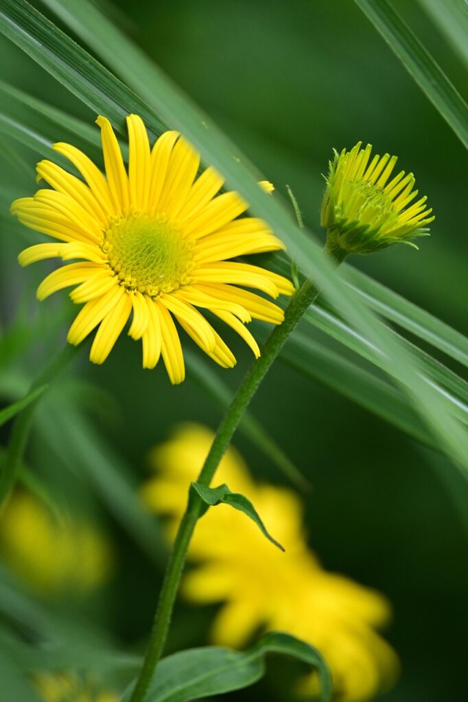 空き家の売却に関する相談は無料でできるの？