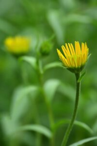 空き家の売却相談はどこに行けばいいの？