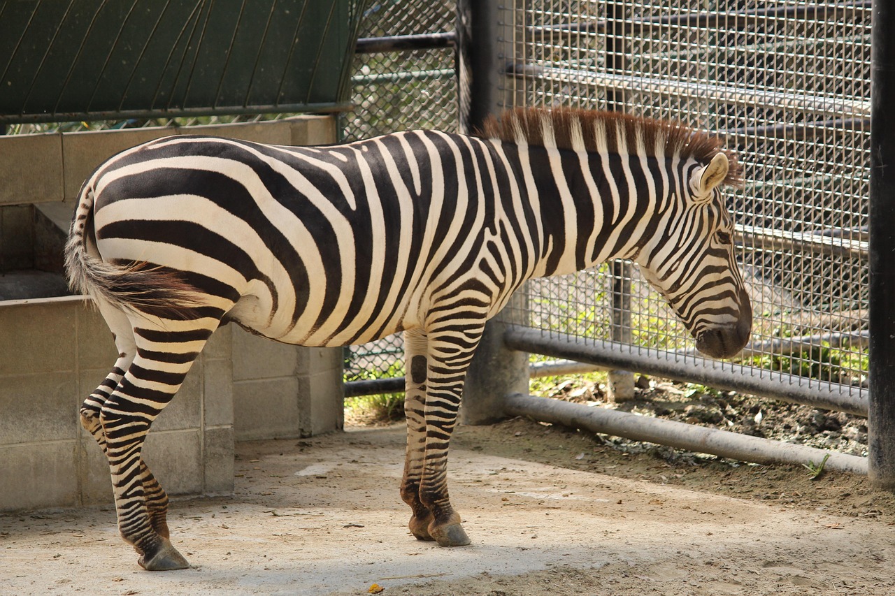 福岡の空き家売却における相場はどのくらい？