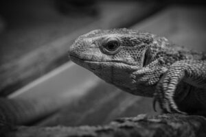 相続した空き家を都市部で売却する際の注意点は？