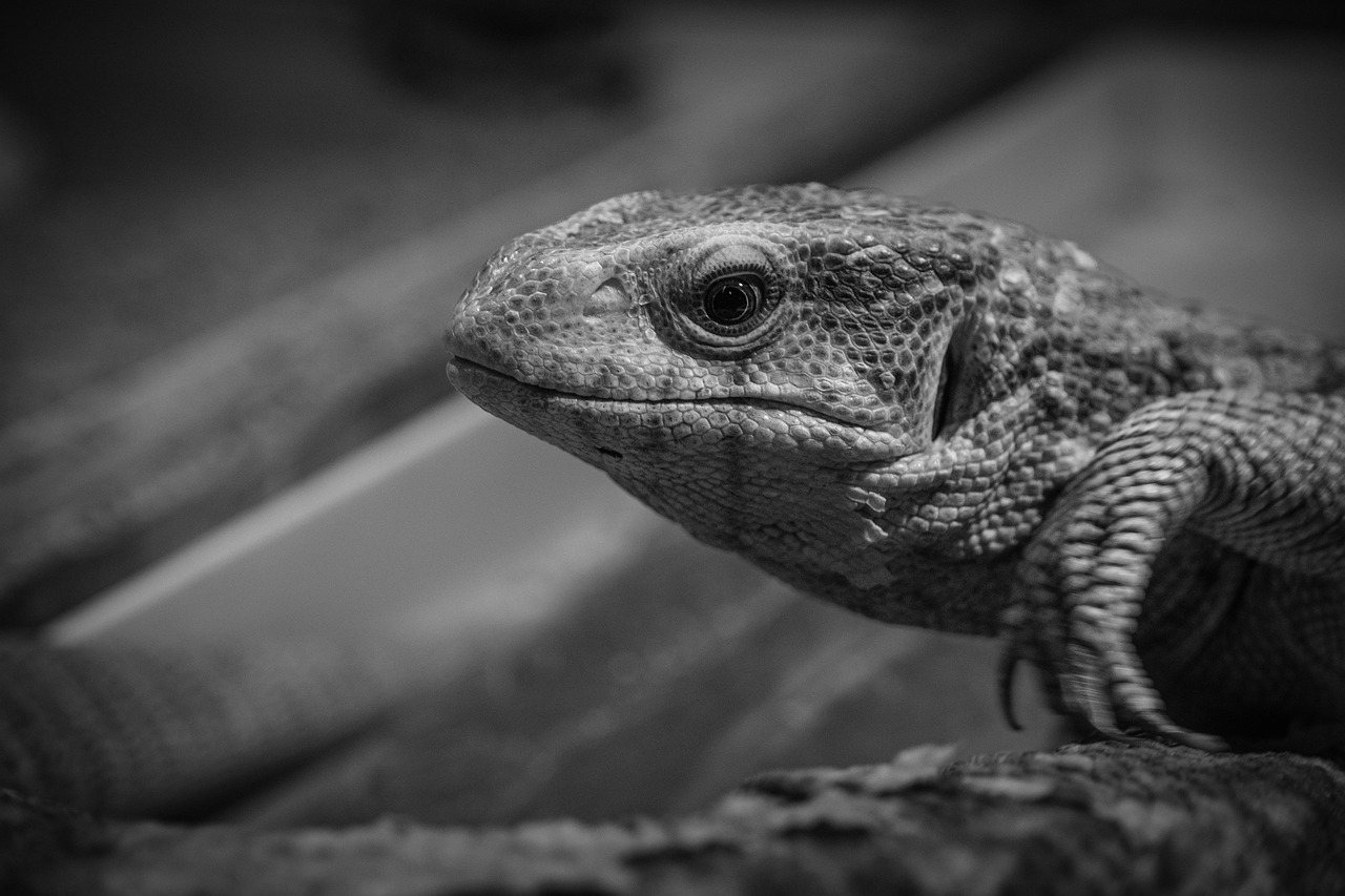 相続した空き家を都市部で売却する際の注意点は？