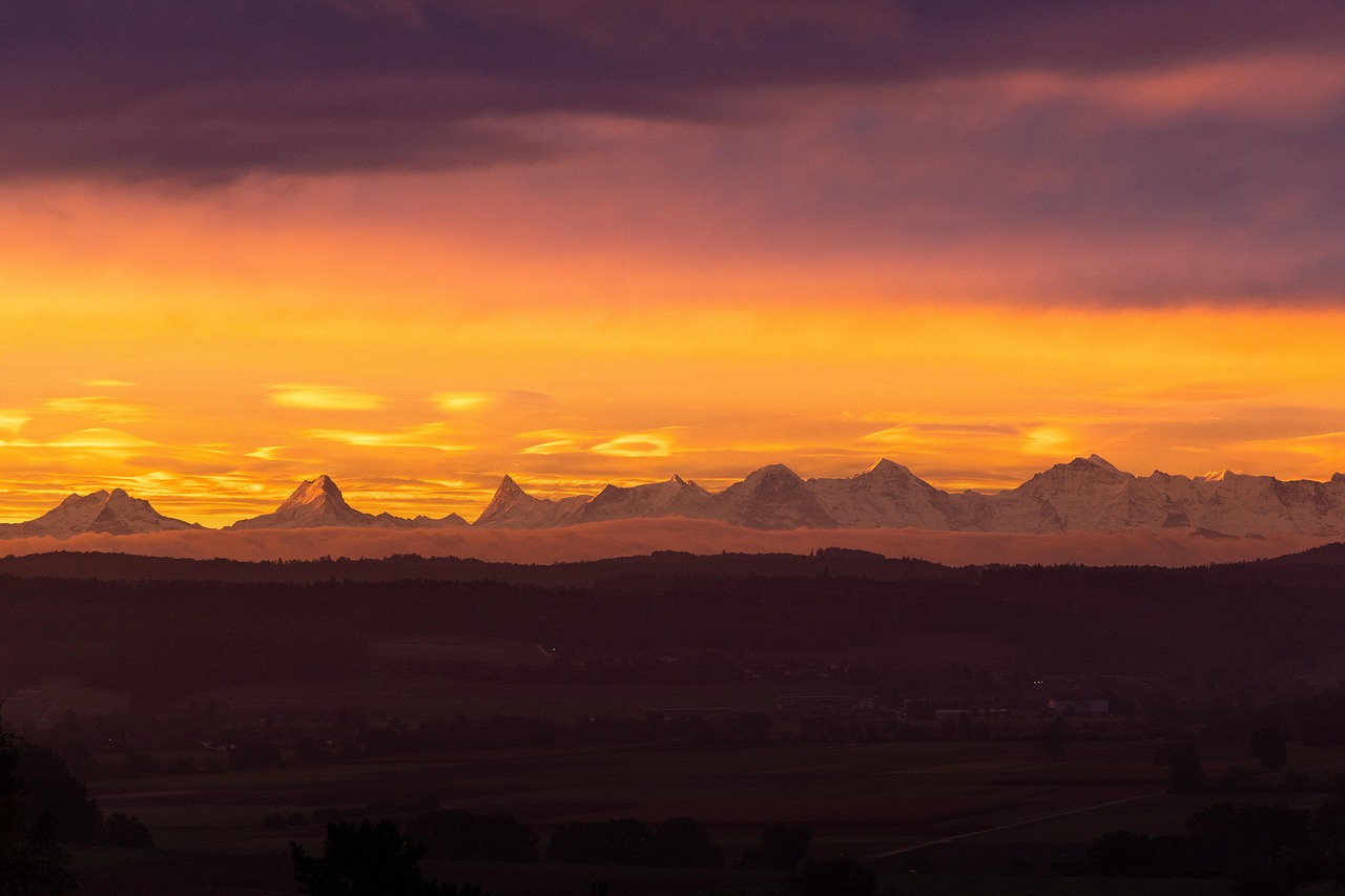空き家を早く売るためのタイミングはいつがベスト？