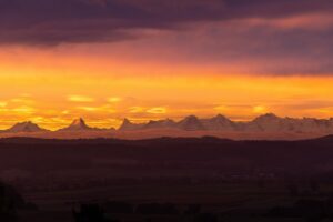 相続した空き家を早く手放すための方法は？