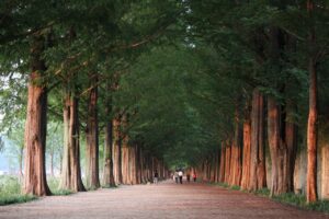 相続空き家の相続放棄にはどのような期限があるの？