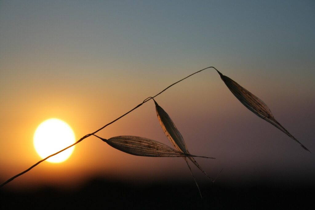 特定空き家対策の効果的な方法とは？