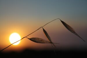 特定空き家対策の効果的な方法とは？