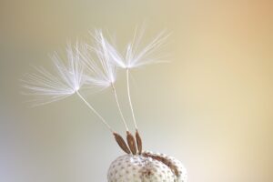 相続した空き家の売却相談、どこに行けばいい？